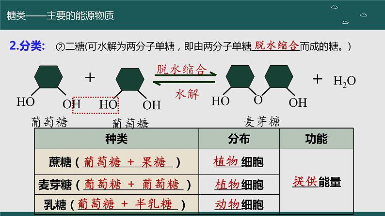 2024届高三生物一轮复习课件 细胞中的无机物、糖类和脂质(第二课时)第5页