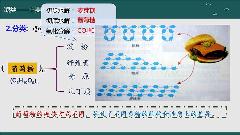 2024届高三生物一轮复习课件 细胞中的无机物、糖类和脂质(第二课时)第6页