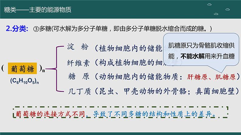 2024届高三生物一轮复习课件 细胞中的无机物、糖类和脂质(第二课时)第7页