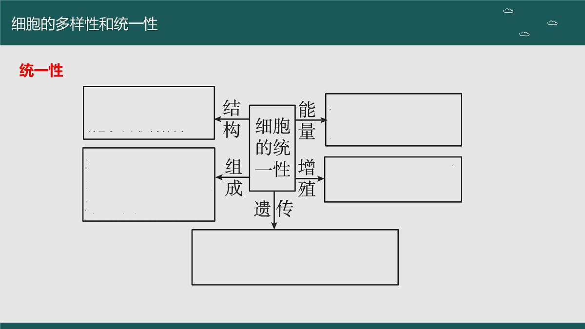 2024届高三生物一轮复习课件 走近细胞（第二课时）第3页