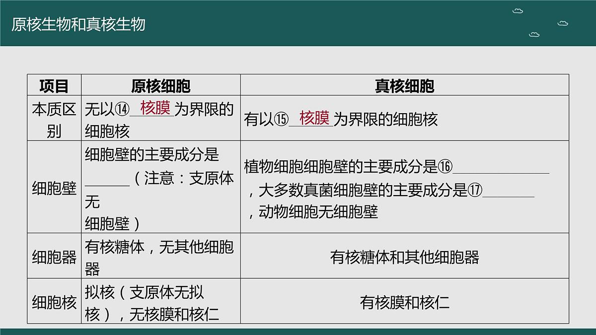2024届高三生物一轮复习课件 走近细胞（第二课时）第4页