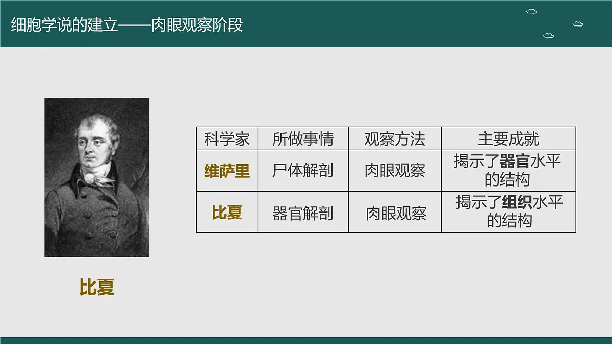 2024届高三生物一轮复习课件 走近细胞（第一课时）第4页
