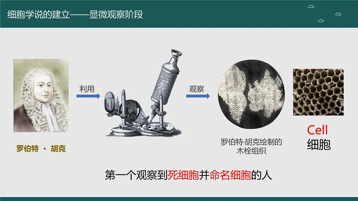 2024届高三生物一轮复习课件 走近细胞（第一课时）第5页