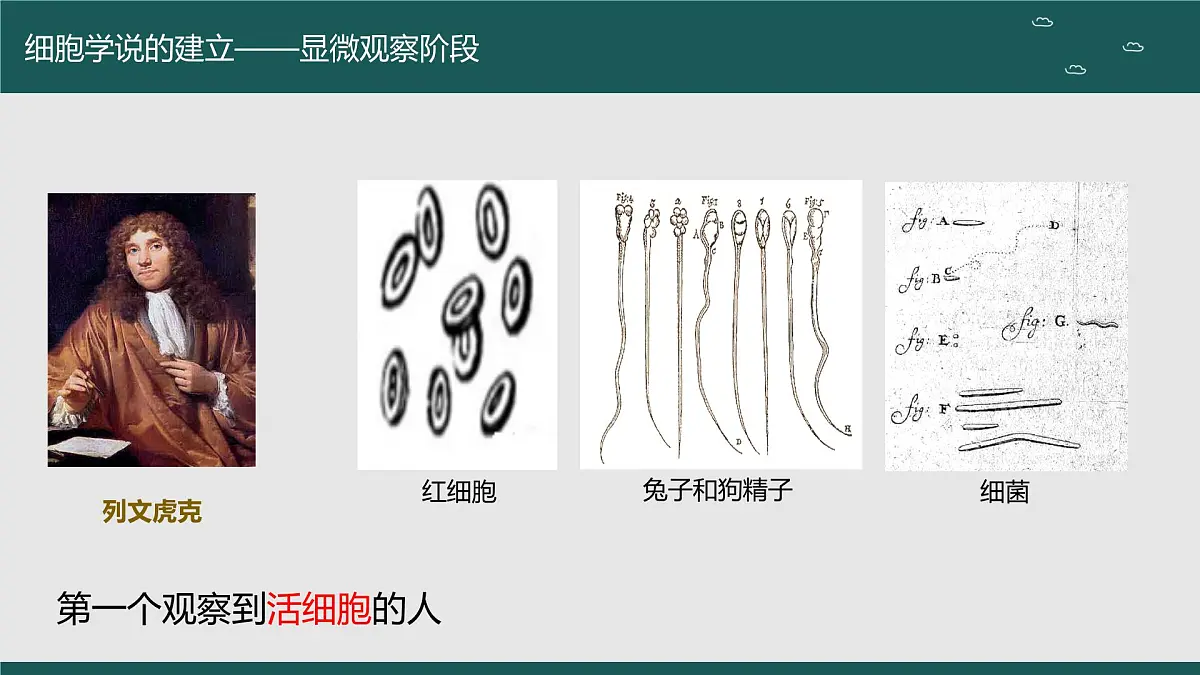 2024届高三生物一轮复习课件 走近细胞（第一课时）第6页