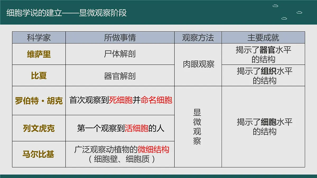 2024届高三生物一轮复习课件 走近细胞（第一课时）第7页