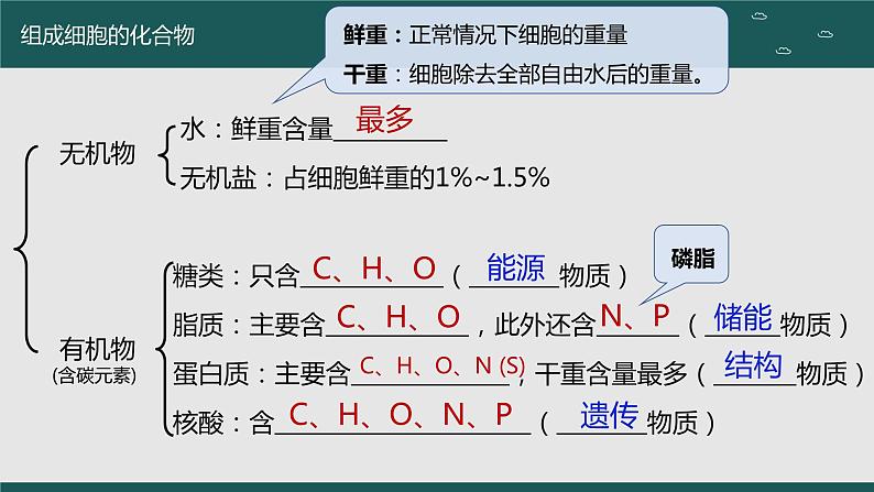 2024届高三生物一轮复习课件：细胞中的无机物、糖类和脂质第5页