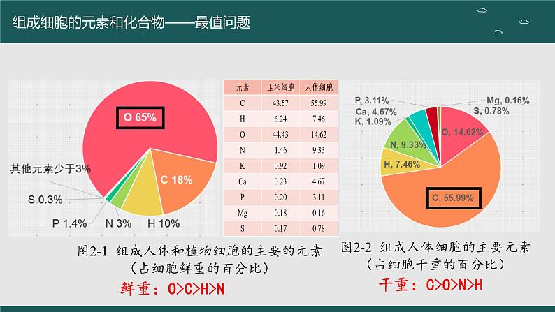 2024届高三生物一轮复习课件：细胞中的无机物、糖类和脂质第6页