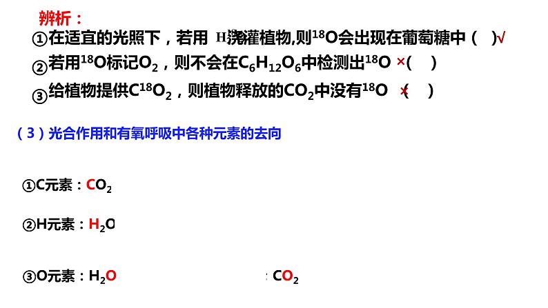 2024届高三生物一轮复习课件第11讲 光合作用与细胞呼吸的综合分析第3页