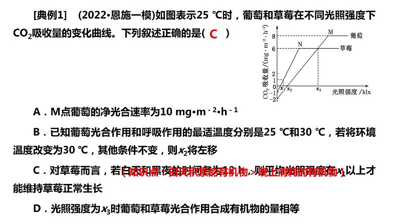 2024届高三生物一轮复习课件第11讲 光合作用与细胞呼吸的综合分析第6页