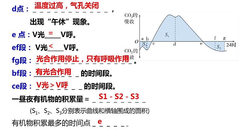 2024届高三生物一轮复习课件第11讲 光合作用与细胞呼吸的综合分析第8页