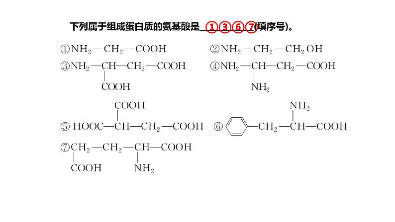 2024届高三生物一轮复习课件第三讲蛋白质是生命活动的主要承担者第4页