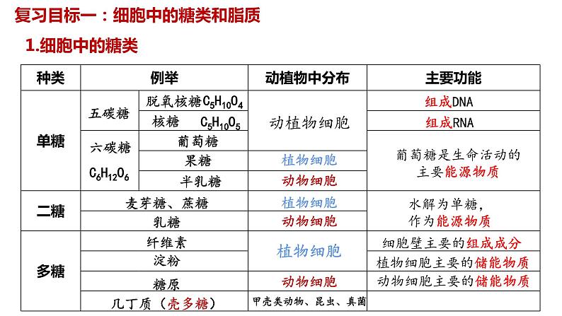 2024届高三生物一轮复习课件第四讲细胞中的糖类脂质和核酸第3页