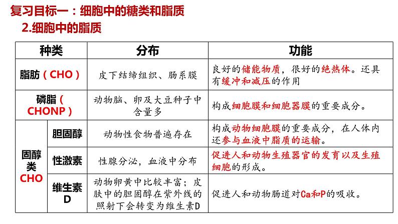 2024届高三生物一轮复习课件第四讲细胞中的糖类脂质和核酸第7页