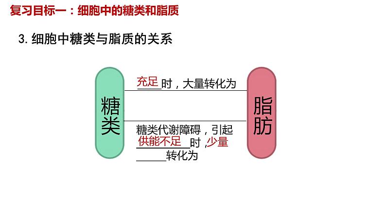 2024届高三生物一轮复习课件第四讲细胞中的糖类脂质和核酸第8页