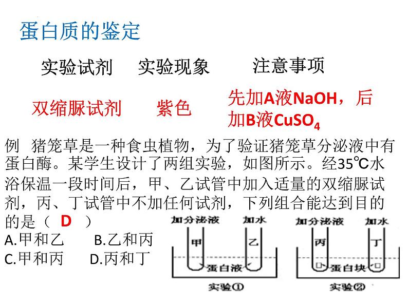 2024届浙科版（2019）高中生物选考一轮复习（必修1）专题 蛋白质专题 课件第3页