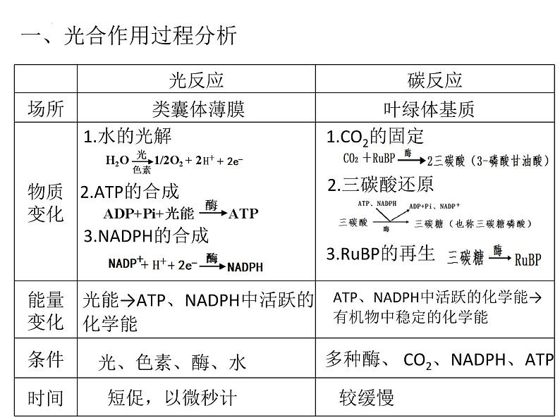 2024届浙科版（2019）高中生物选考一轮复习（必修1）专题光合作用发现史 课件第3页