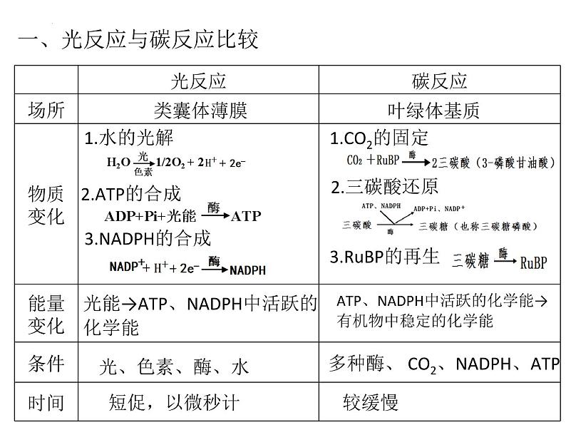 2024届浙科版（2019）高中生物选考一轮复习（必修1）专题光合作用速率 课件第2页