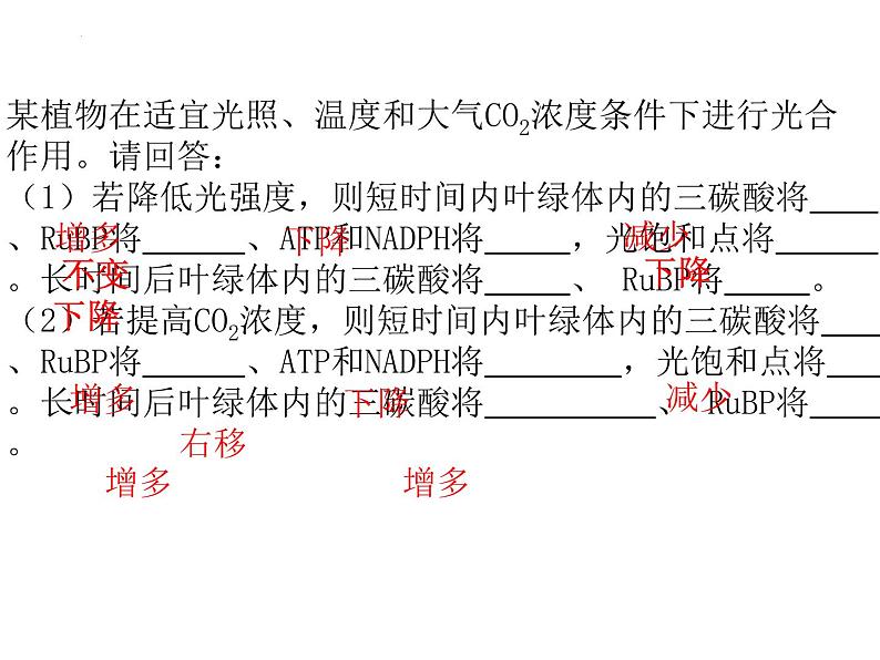 2024届浙科版（2019）高中生物选考一轮复习（必修1）专题光合作用速率 课件第3页