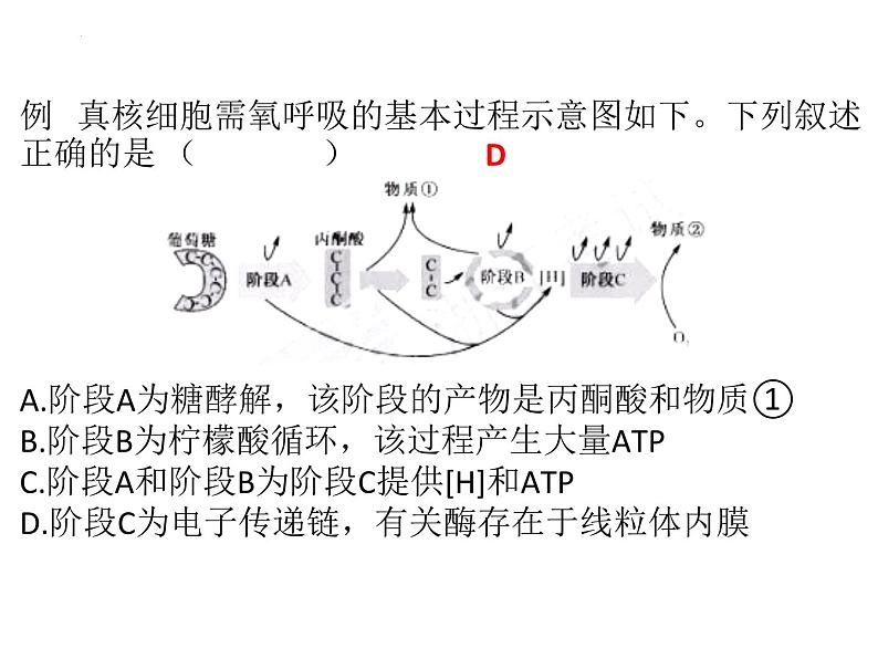 2024届浙科版（2019）高中生物选考一轮复习（必修1）专题细胞呼吸 课件第2页