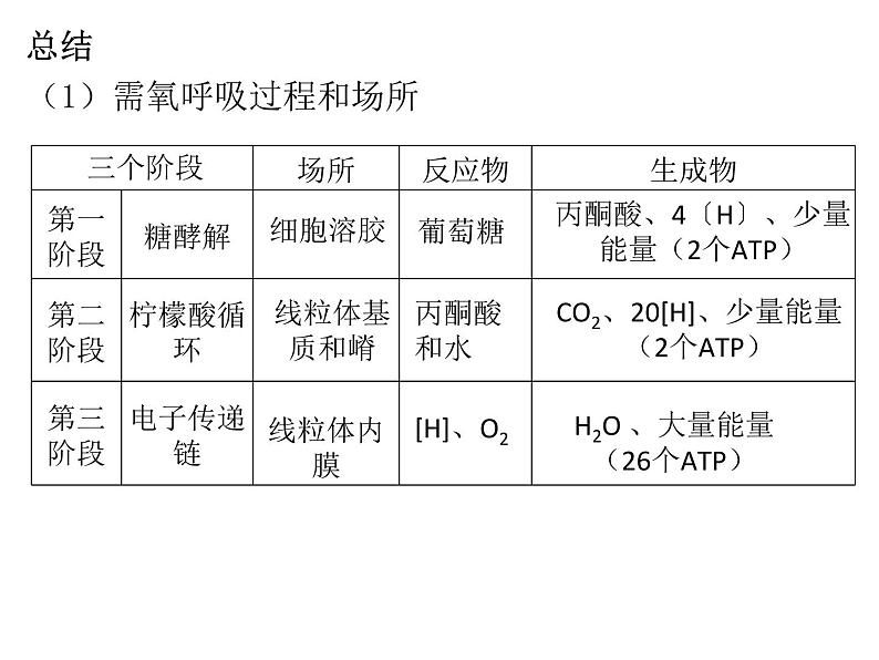 2024届浙科版（2019）高中生物选考一轮复习（必修1）专题细胞呼吸 课件第7页