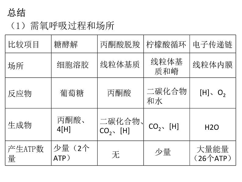 2024届浙科版（2019）高中生物选考一轮复习（必修1）专题细胞呼吸 课件第8页