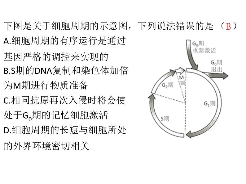 2024届浙科版（2019）高中生物选考一轮复习（必修1）专题细胞周期专题 课件05