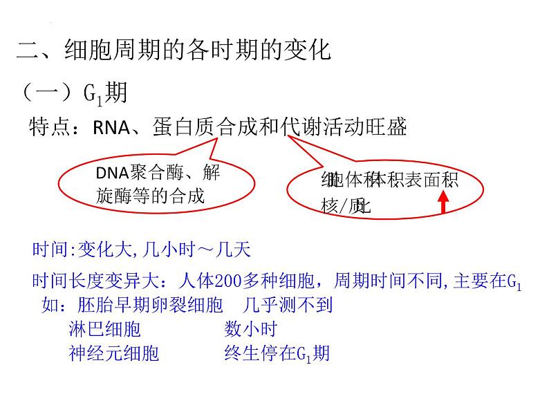 2024届浙科版（2019）高中生物选考一轮复习（必修1）专题细胞周期专题 课件06