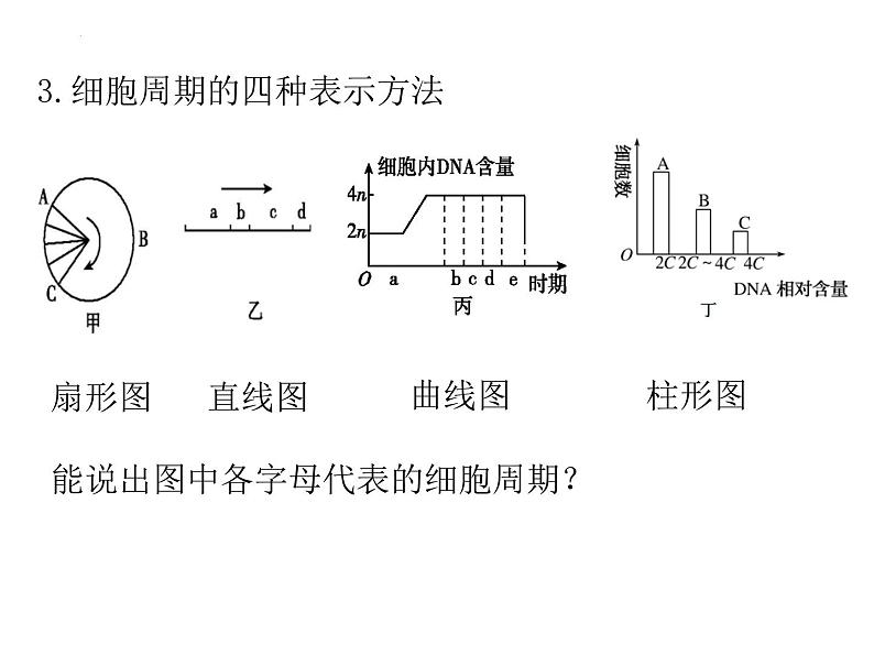 2024届浙科版高三生物选考一轮复习课件（必修1）专题细胞增殖和分化第3页