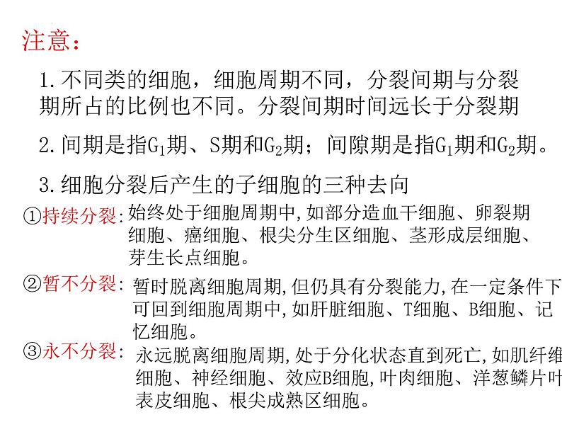 2024届浙科版高三生物选考一轮复习课件（必修1）专题细胞增殖和分化第4页