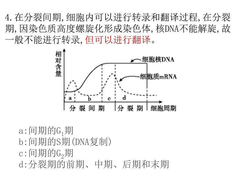 2024届浙科版高三生物选考一轮复习课件（必修1）专题细胞增殖和分化第5页