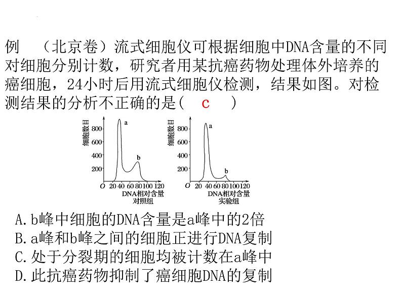 2024届浙科版高三生物选考一轮复习课件（必修1）专题细胞增殖和分化第7页