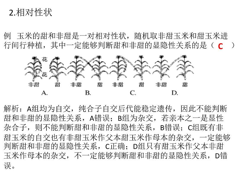 等位基因间的相互作用 课件-2024届浙科版（2019）高中生物选考一轮复习（必修2）第3页