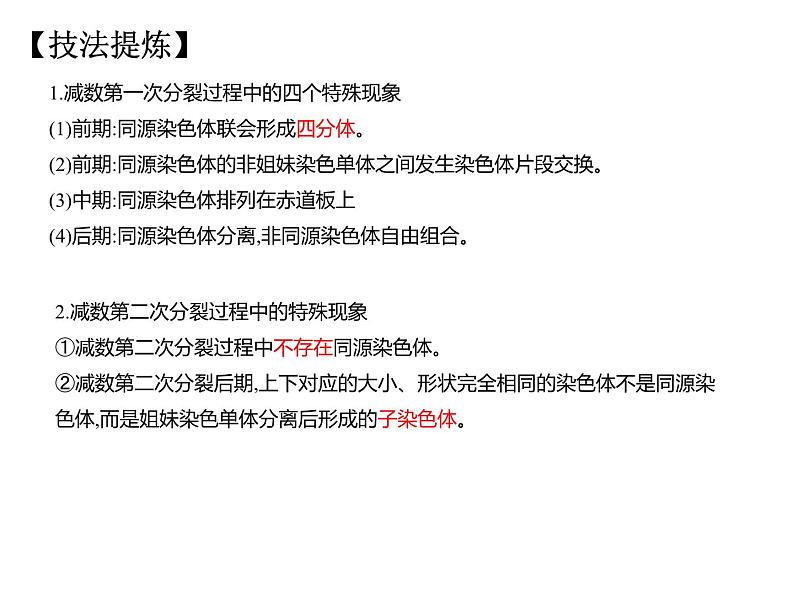 减数分裂 课件-2024届浙科版（2019）高中生物选考一轮复习（必修2）第4页