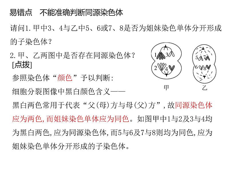 减数分裂 课件-2024届浙科版（2019）高中生物选考一轮复习（必修2）第5页