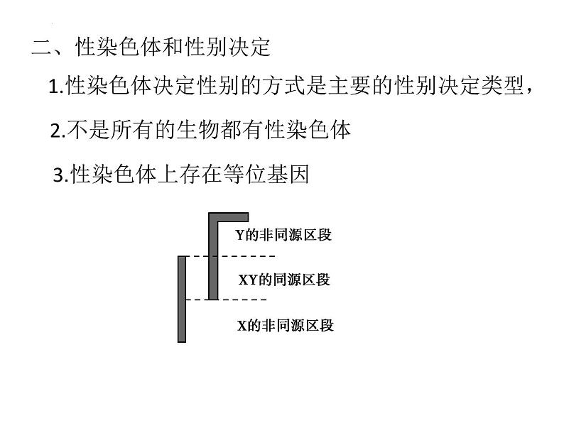 性染色体和伴性遗传 课件-2024届浙科版（2019）高中生物选考一轮复习（必修2）第4页