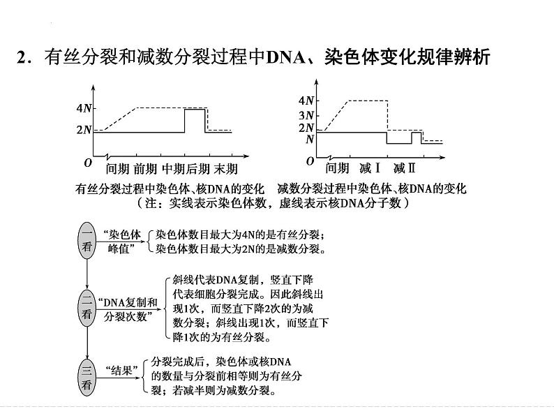 有丝分裂与减数分裂的比较及减数分裂与可遗传变异的关系1 课件-2024届浙科版（2019）高中生物选考一轮复习（必修2）06