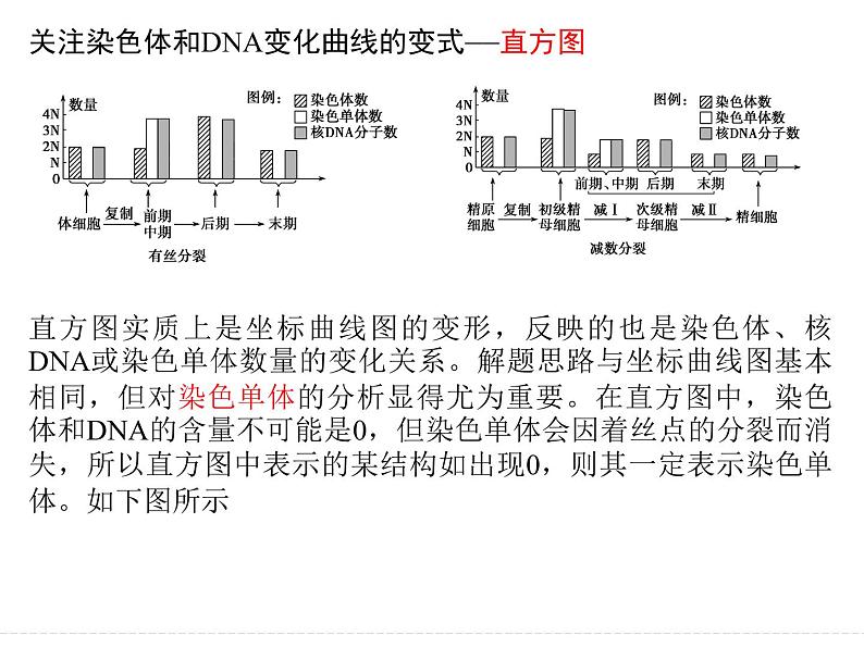 有丝分裂与减数分裂的比较及减数分裂与可遗传变异的关系1 课件-2024届浙科版（2019）高中生物选考一轮复习（必修2）07