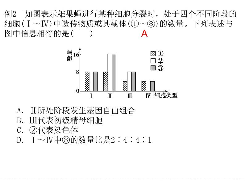 有丝分裂与减数分裂的比较及减数分裂与可遗传变异的关系1 课件-2024届浙科版（2019）高中生物选考一轮复习（必修2）08