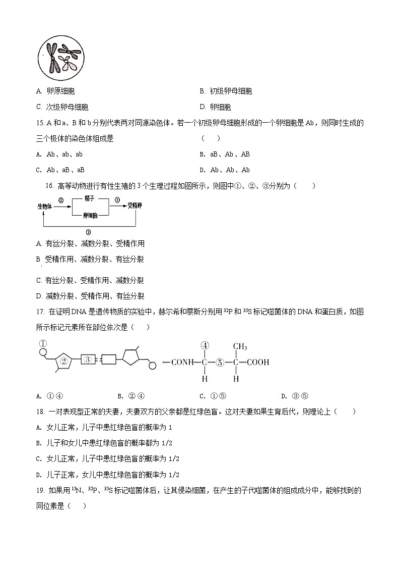 精品解析：天津市滨海新区大港太平村中学高一下学期期末质量检测生物试题03