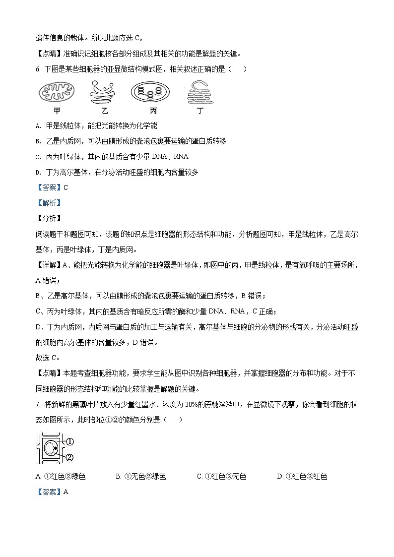 精品解析：天津市滨海新区大港太平村中学高一下学期期末质量检测生物试题03