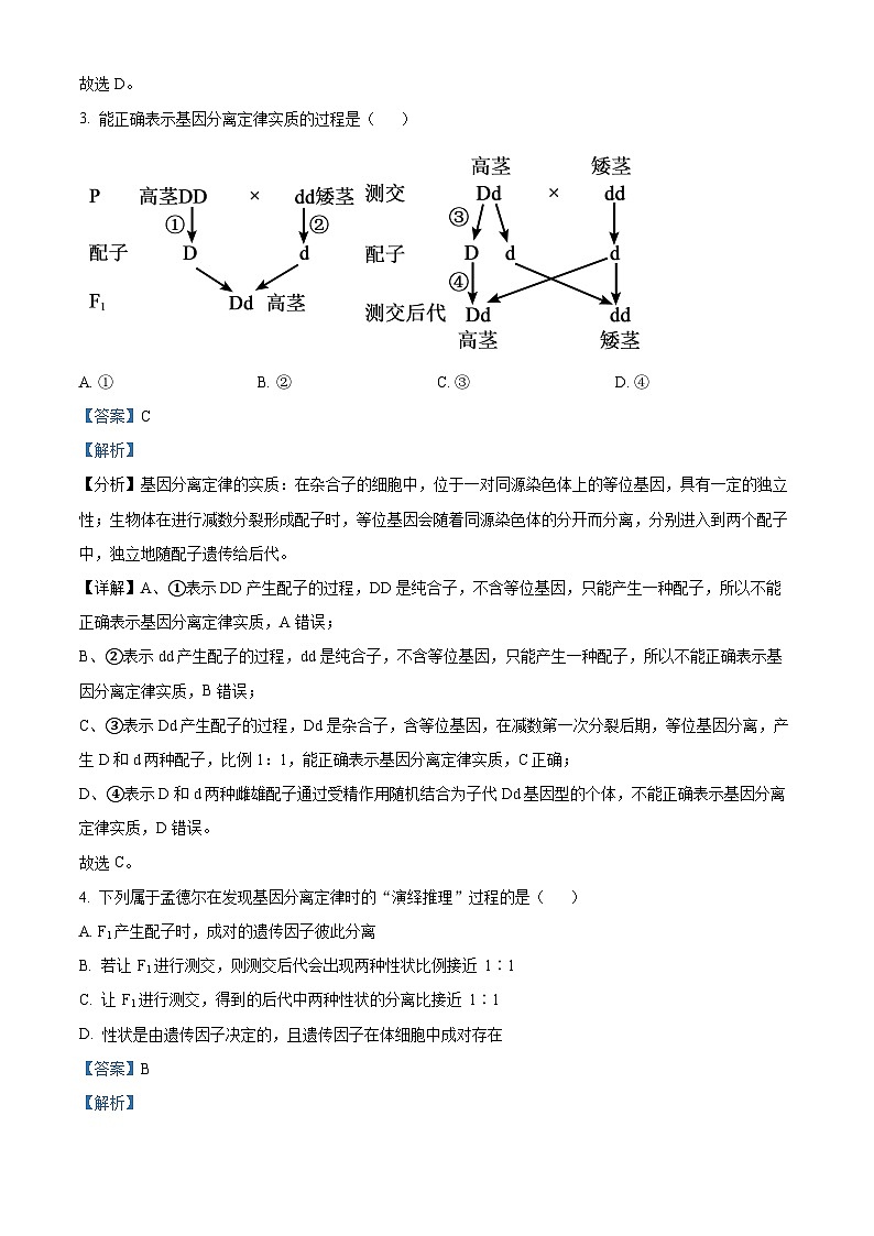 精品解析：天津市宁河区芦台四中高一下学期期末生物试题02