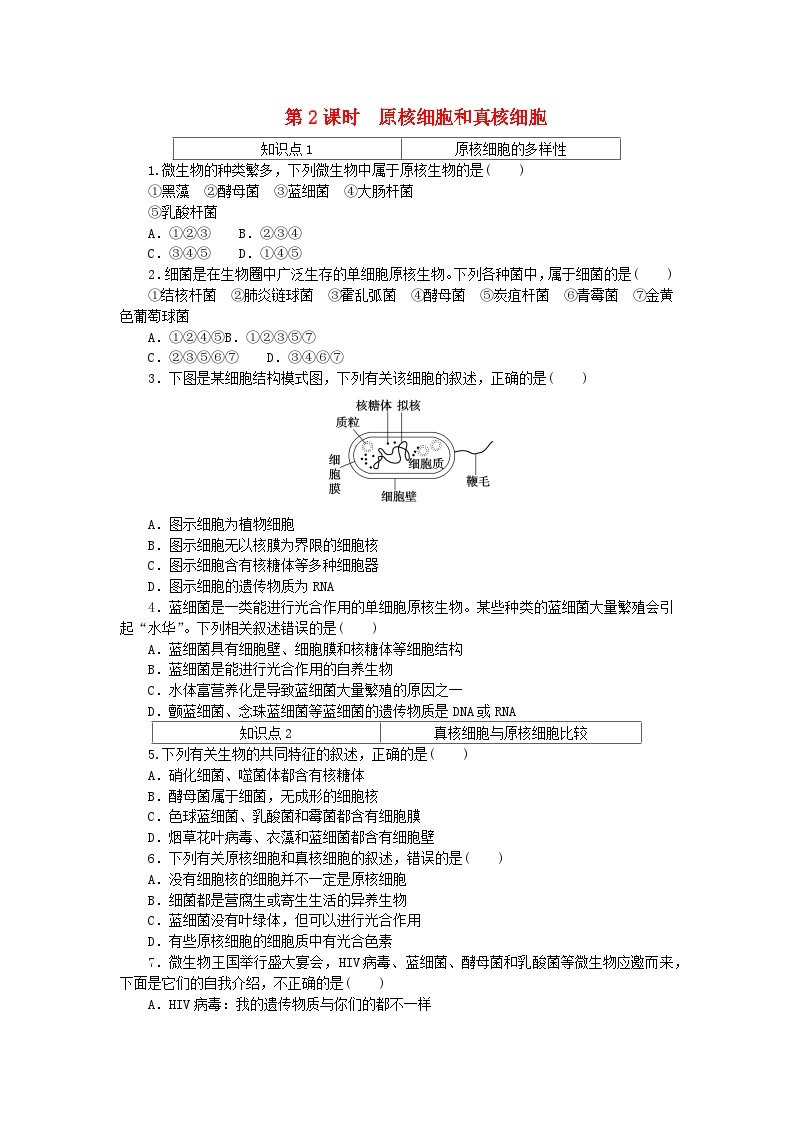 2023_2024学年新教材高中生物第1章走近细胞1.2细胞的多样性和统一性1.2.2原核细胞和真核细胞课时作业新人教版必修101