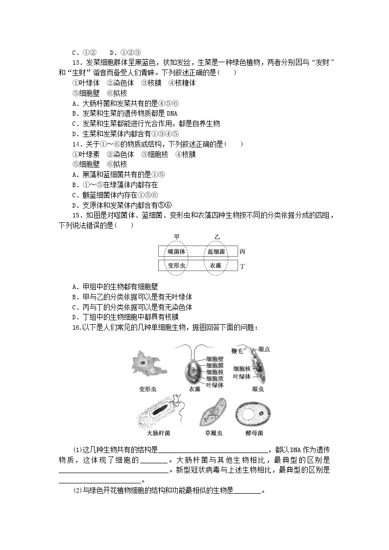 2023_2024学年新教材高中生物第1章走近细胞1.2细胞的多样性和统一性1.2.2原核细胞和真核细胞课时作业新人教版必修103