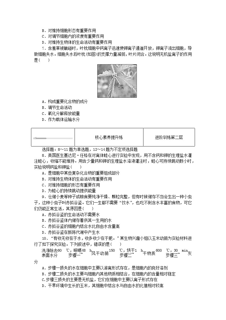 2023_2024学年新教材高中生物第2章组成细胞的分子2.2细胞中的无机物课时作业新人教版必修102
