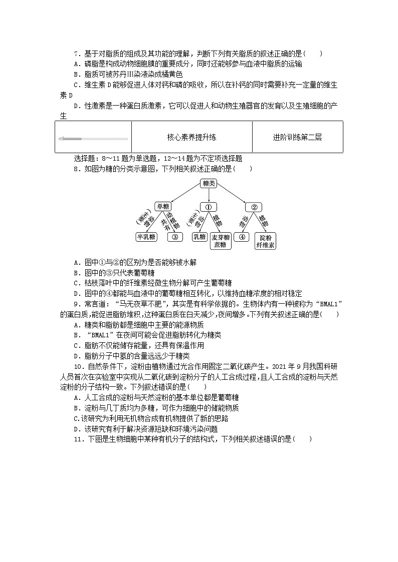 2023_2024学年新教材高中生物第2章组成细胞的分子2.3细胞中的糖类和脂质课时作业新人教版必修1第2页
