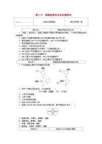 人教版 (2019)必修1《分子与细胞》第2章 组成细胞的分子第5节 核酸是遗传信息的携带者当堂达标检测题