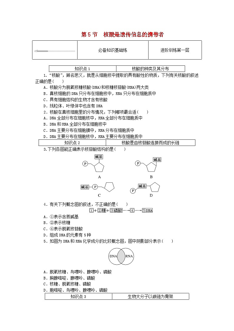 2023_2024学年新教材高中生物第2章组成细胞的分子2.5核酸是遗传信息的携带者课时作业新人教版必修1第1页