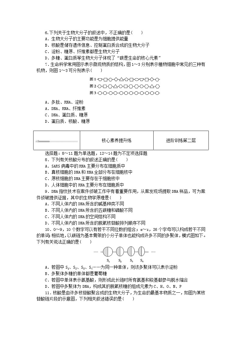 2023_2024学年新教材高中生物第2章组成细胞的分子2.5核酸是遗传信息的携带者课时作业新人教版必修1第2页