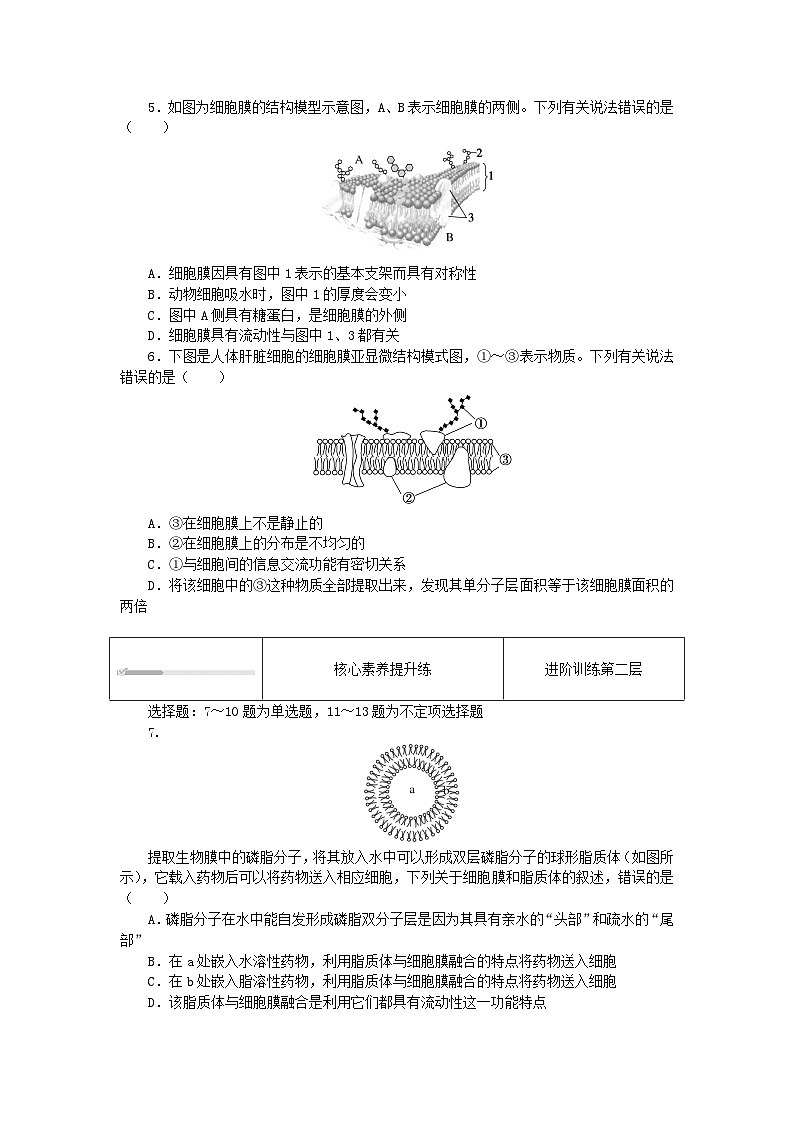 2023_2024学年新教材高中生物第3章细胞的基本结构3.1细胞膜的结构和功能课时作业新人教版必修102