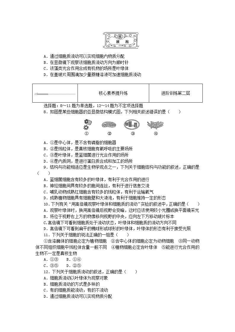 2023_2024学年新教材高中生物第3章细胞的基本结构3.2细胞器之间的分工合作3.2.1细胞器之间的分工课时作业新人教版必修1第2页
